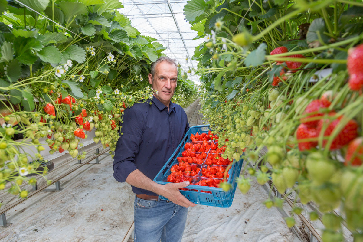 Vermeulen Zachtfruit