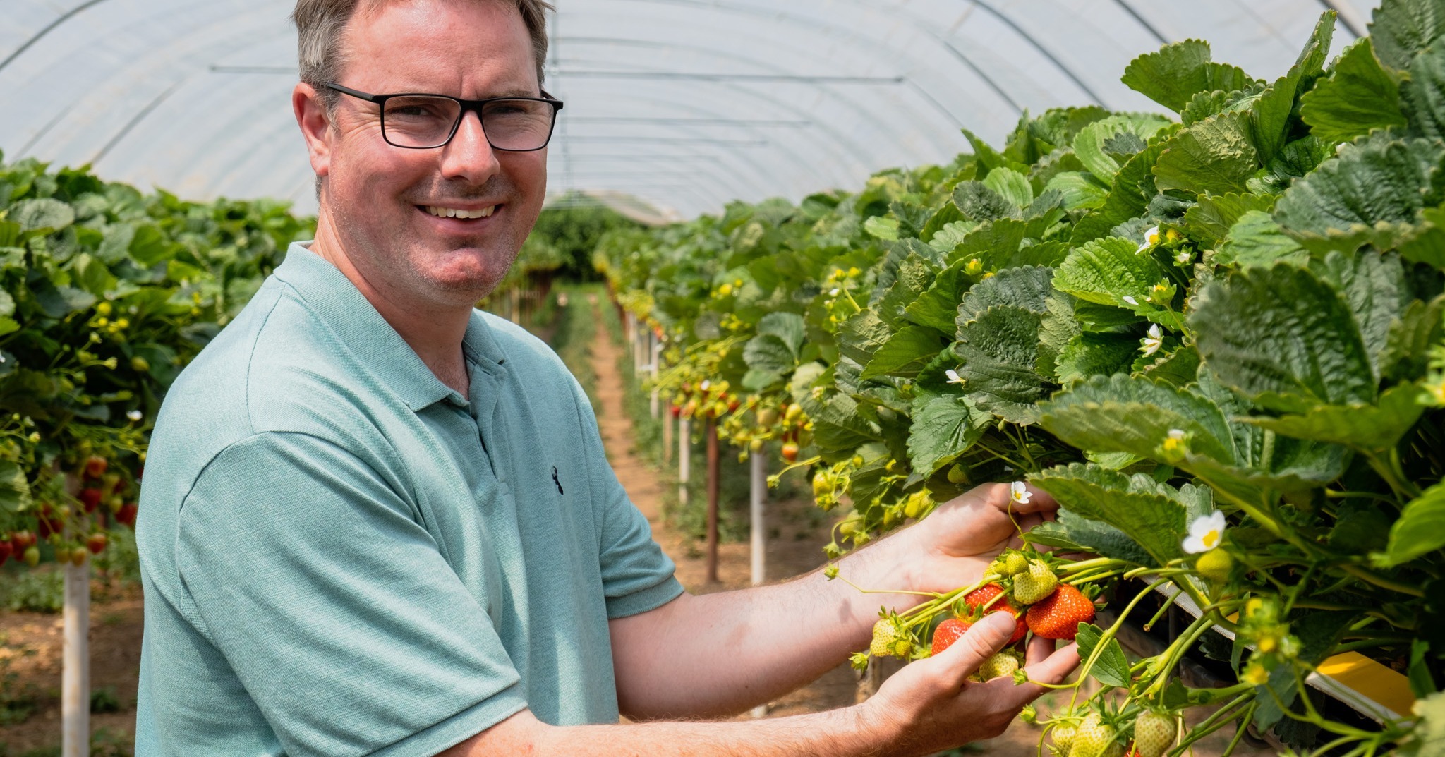 Emery Soft Fruits, UK