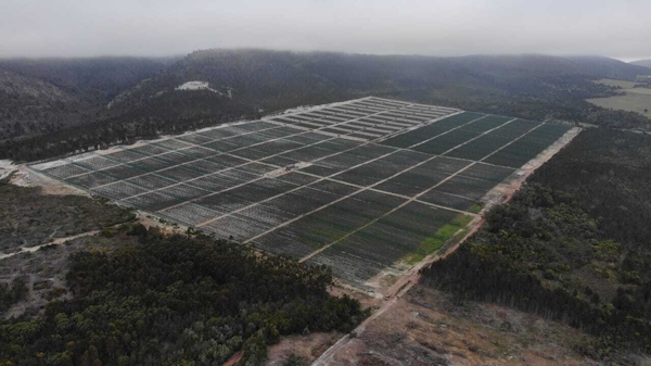 BerryWorld | Meet our berry growers