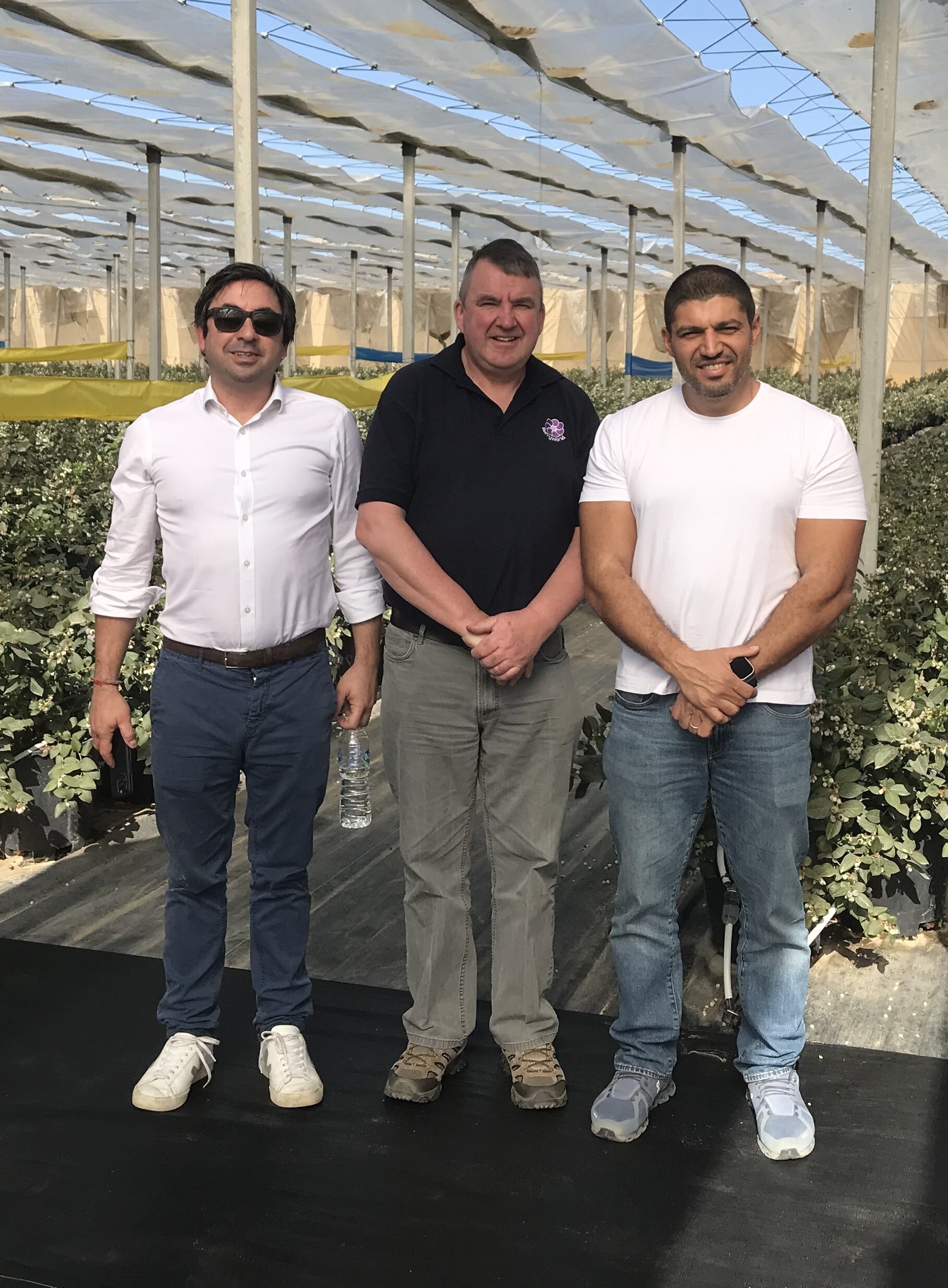 BerryWorld Zoom in on Egyptian Blueberry Boom