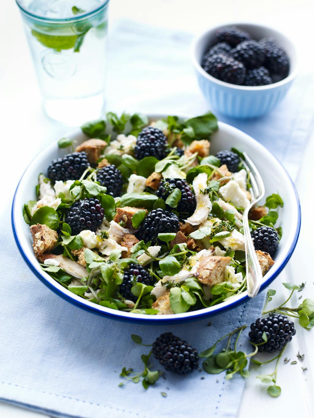 Berry World Chicken and Blackberry Salad 75isq2au2
