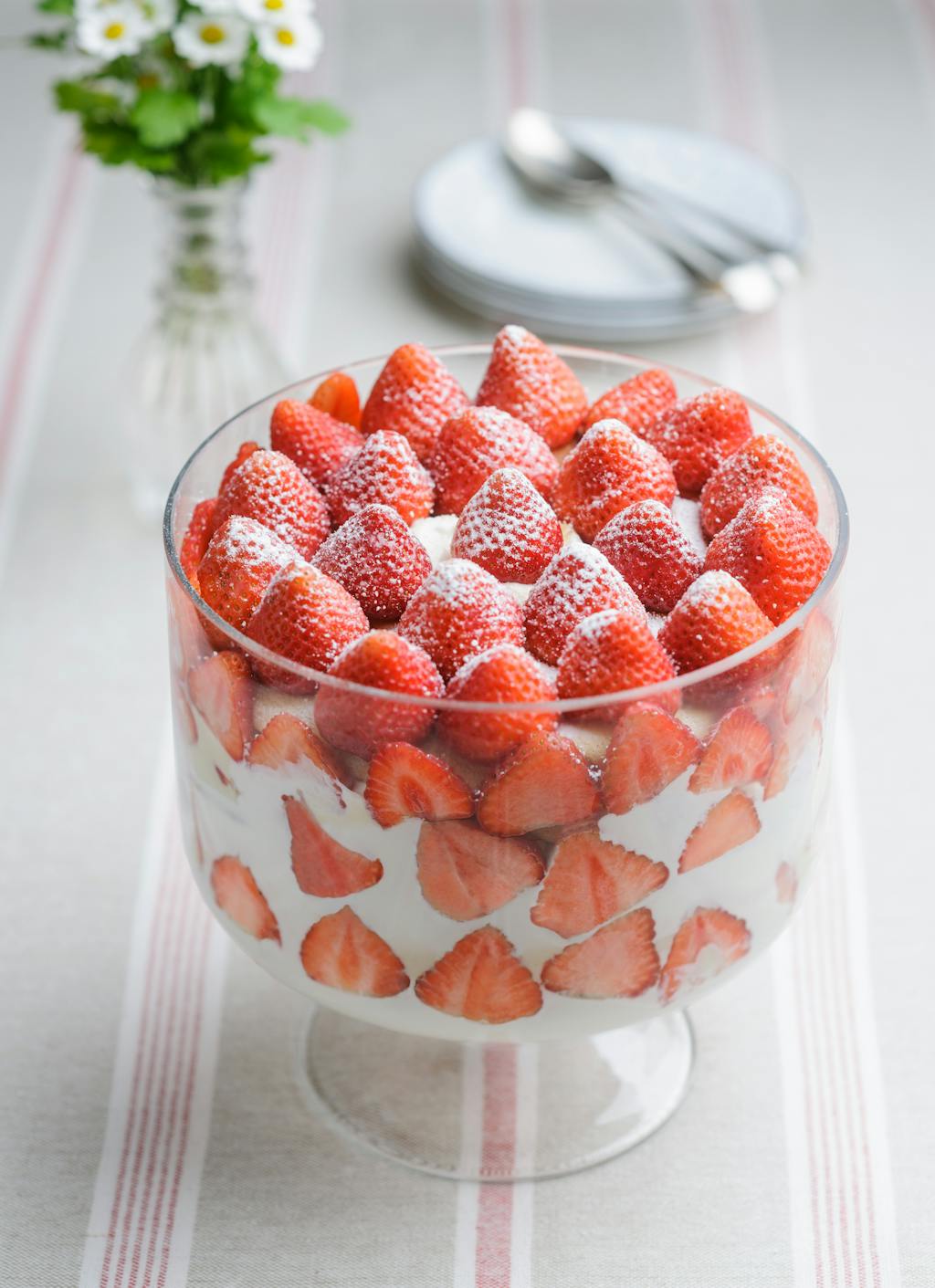 Berry World Strawberry Trifle 75iubtsk3