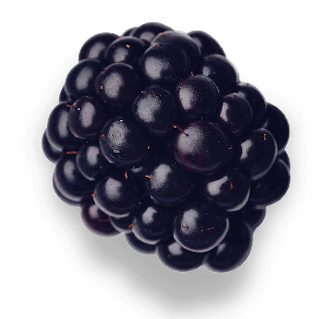 Blackberry Cutout Shadow