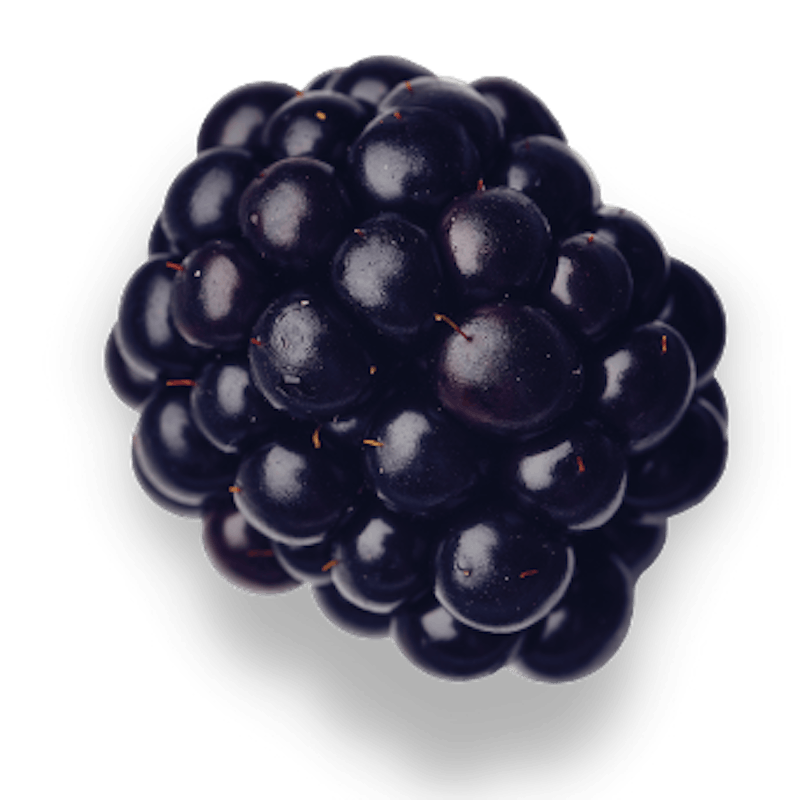 BerryWorld | BerryWorld Blackberries