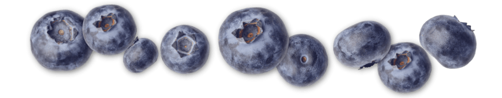 Blueberry burst strip
