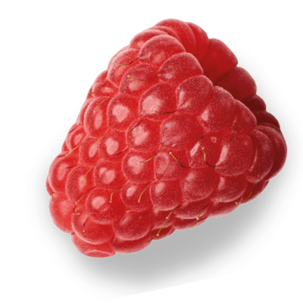 Raspberry Cutout Shadow