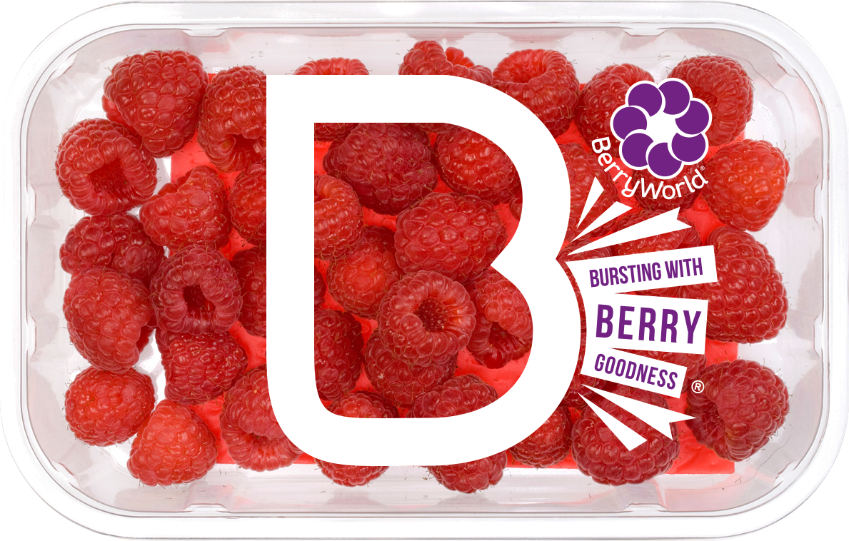 BerryWorld | Raspberries