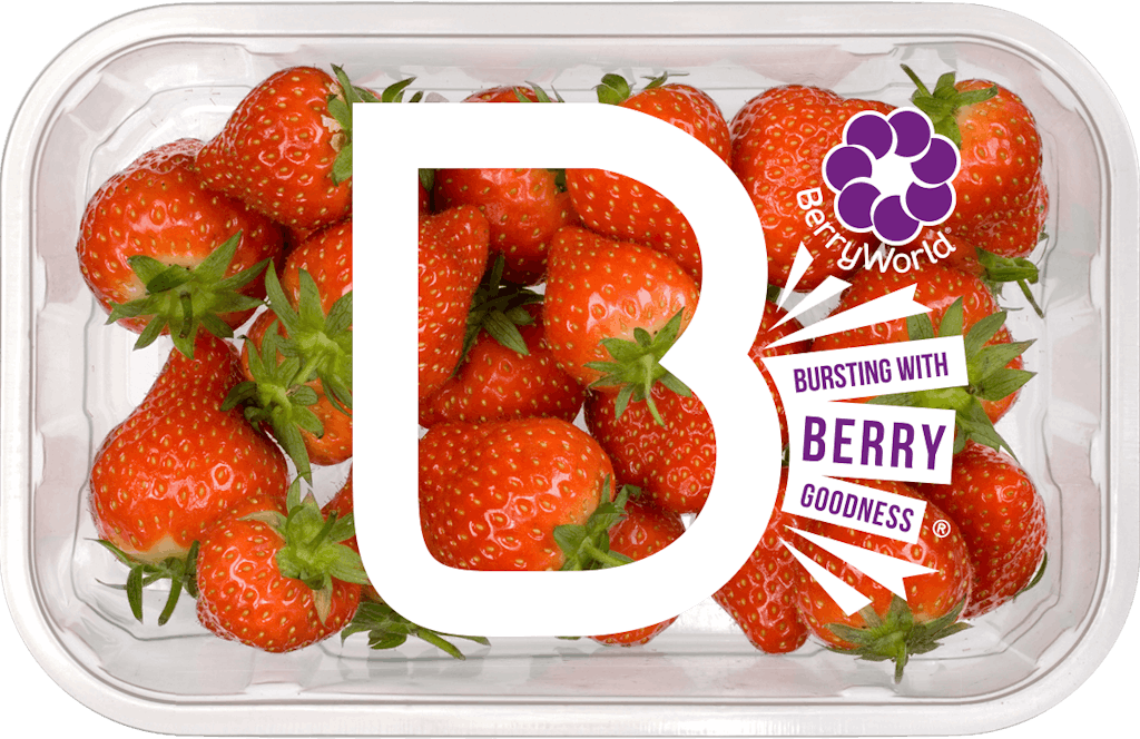 BerryWorld | Strawberries