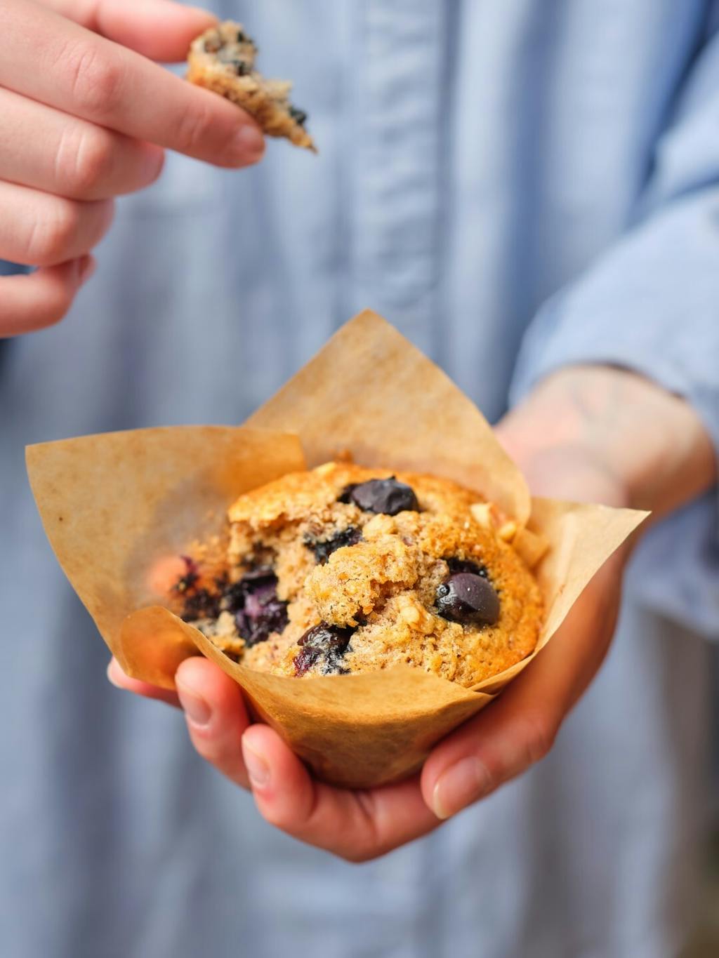 Blueberry and walnut muffins interactive 1 Large
