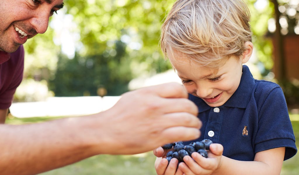 Award-winning fresh berries | BerryWorld