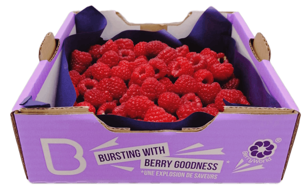 500g Raspberries Angle Side Large