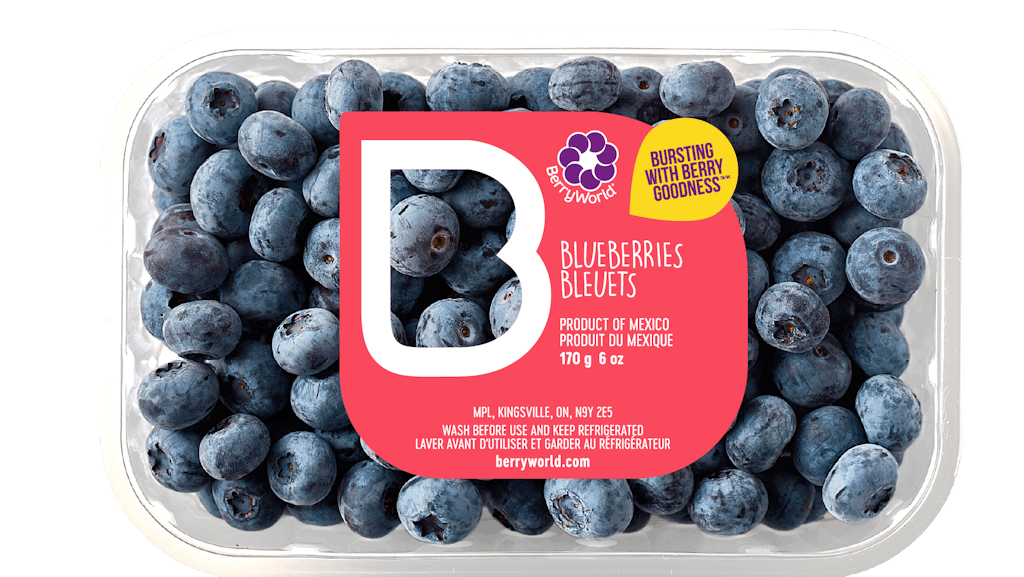 MBWA blueberry