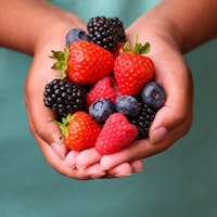 Full hand of Superior Taste Awarded berries