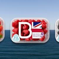Leaders of the (sustainable) pack