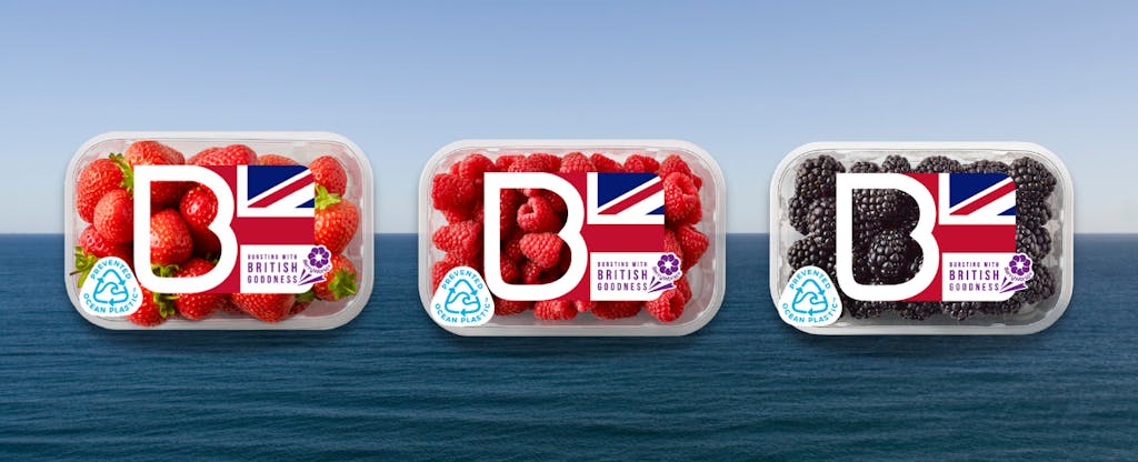 BW UK Sustainable Berry Packaging mtime20210512155115