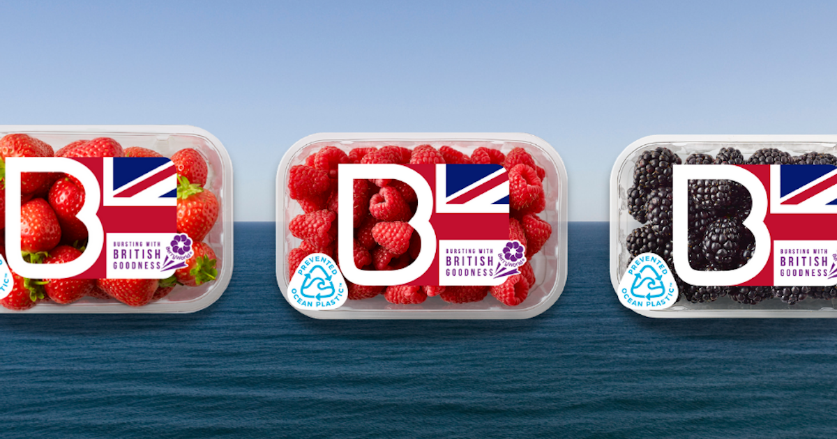 BerryWorld Leaders of the (sustainable) pack