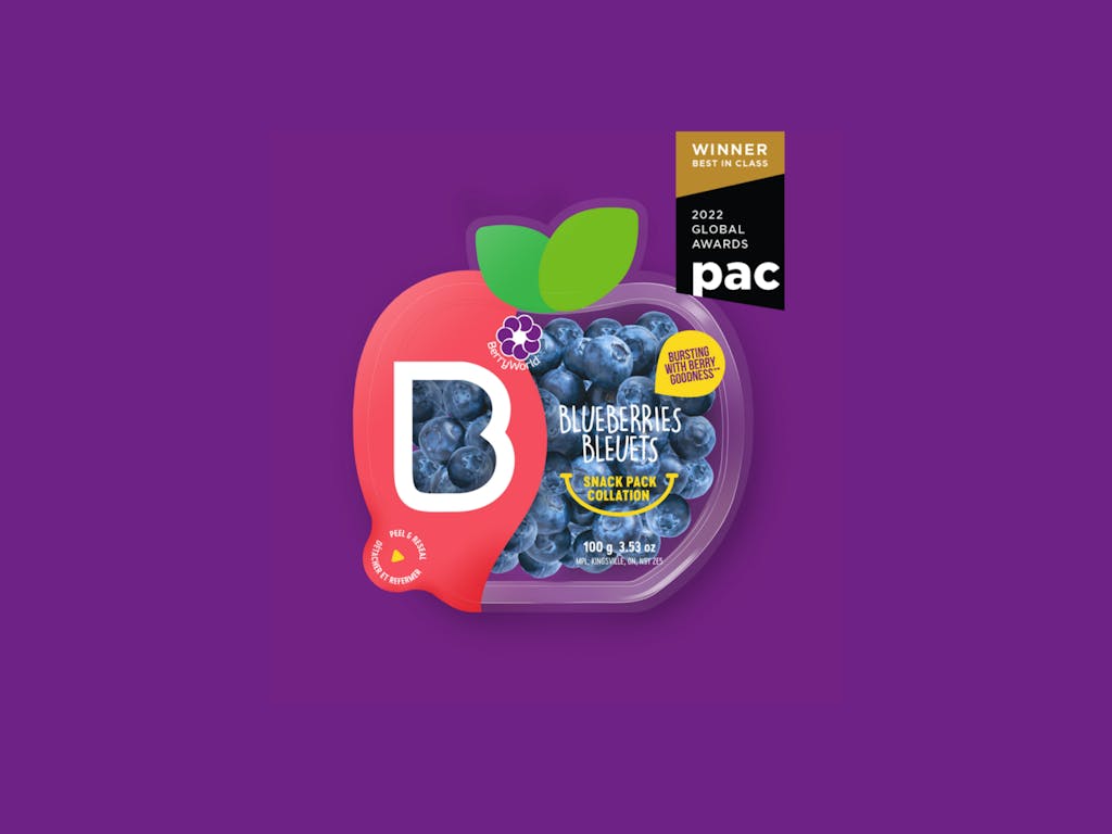 Berry World Blueberry Snack Pack
