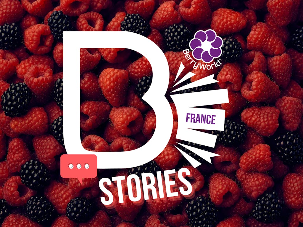 Berry World France stories