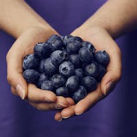 Blueberry Magic