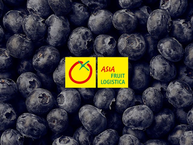 BerryWorld at Asia Fruit Logistica