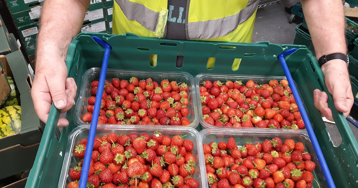 BerryWorld | BerryWorld x FareShare partnership hits 1 million meals