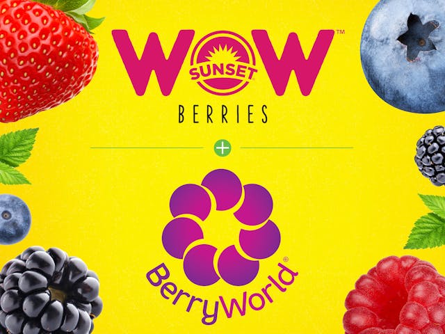 SUNSET® Partnership About to Rock the BerryWorld®