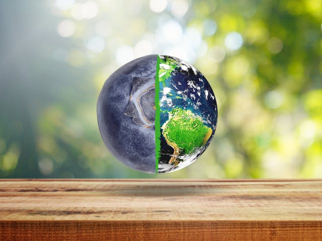 Journée mondiale de l'environnement, continuons d'agir pour une monde plus responsable !