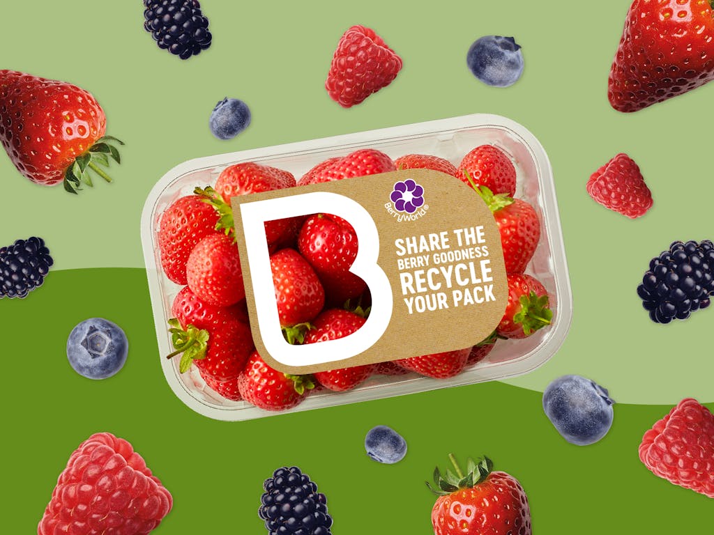 03 Recycling Berry Worldc 2