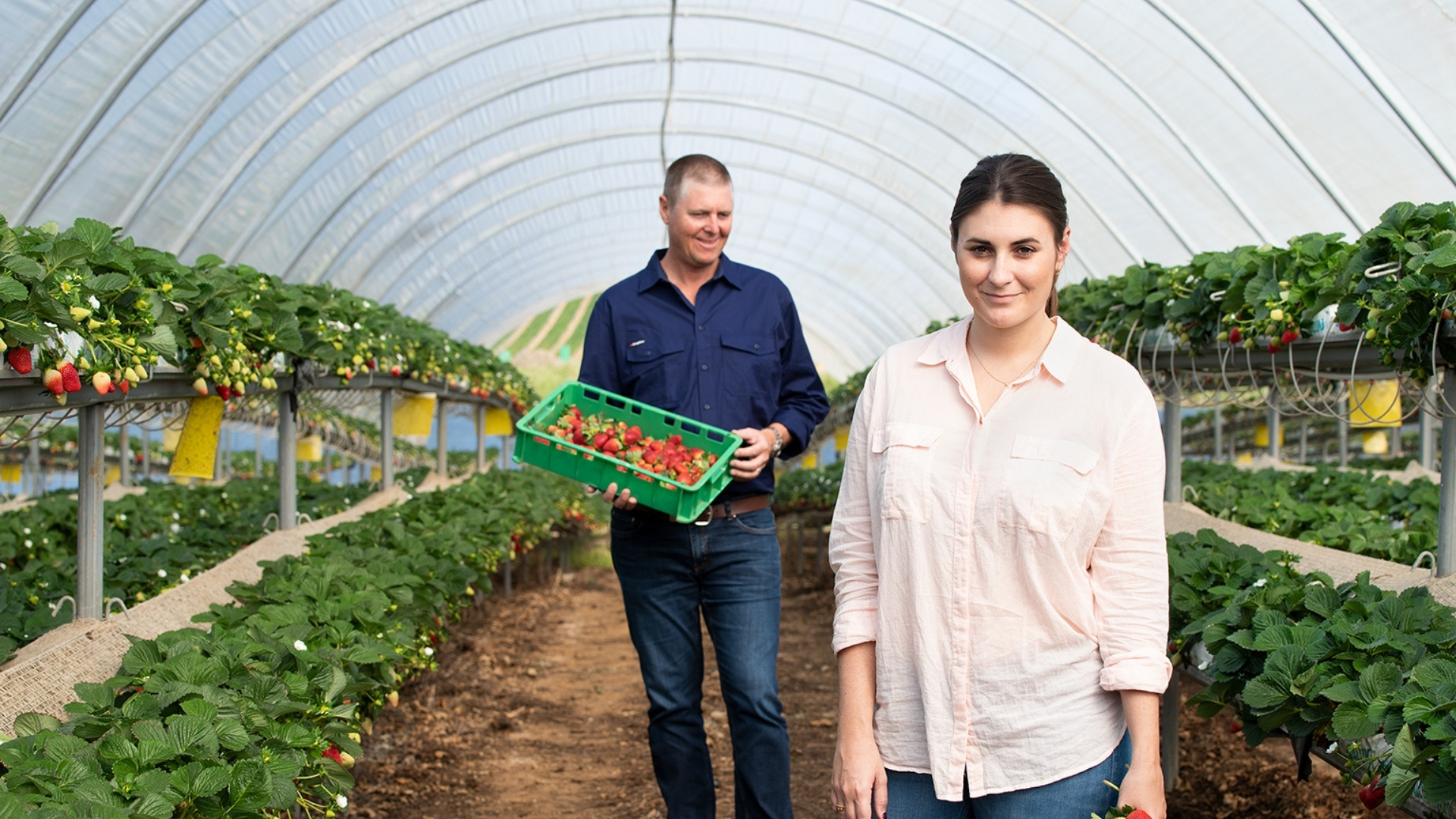 Awardwinning fresh berries BerryWorld