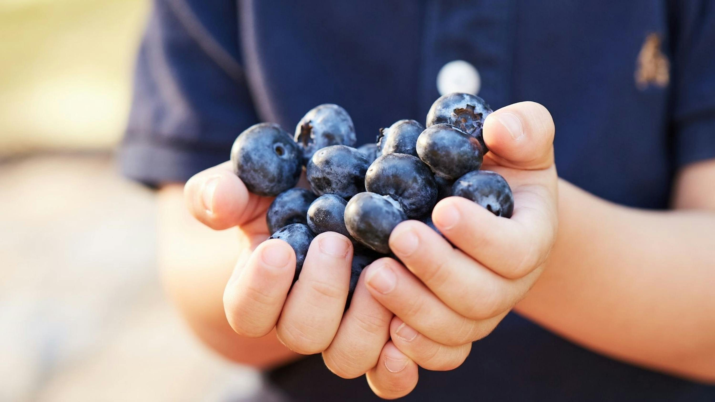 BerryWorld Blueberries | BerryWorld
