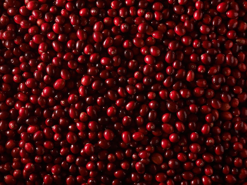 Cranberries full screen Large