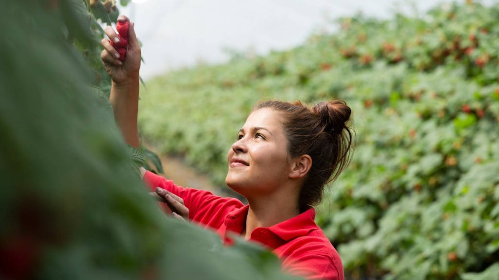 Our Berries Your World