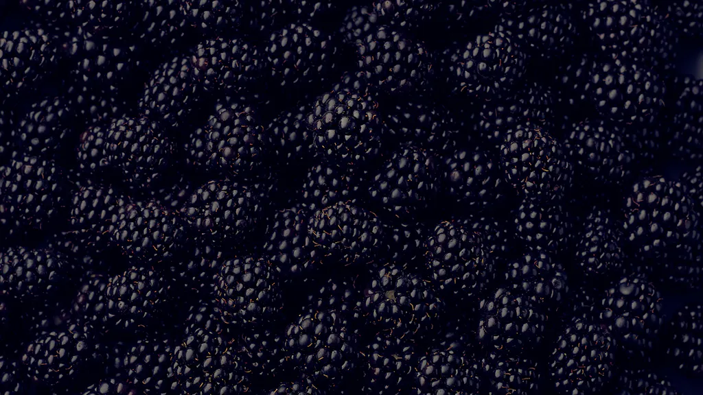 Blackberries
