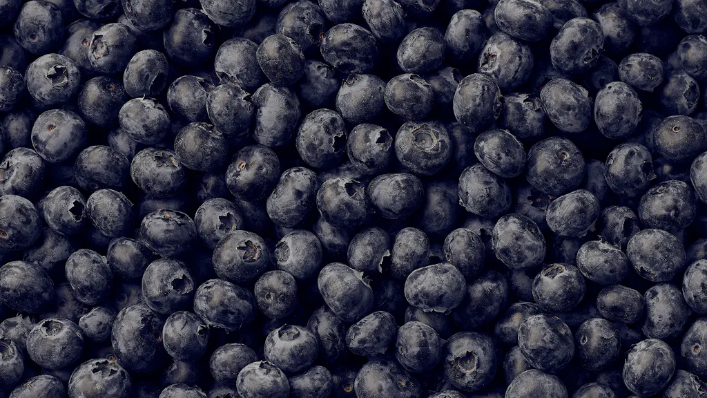 Blueberries