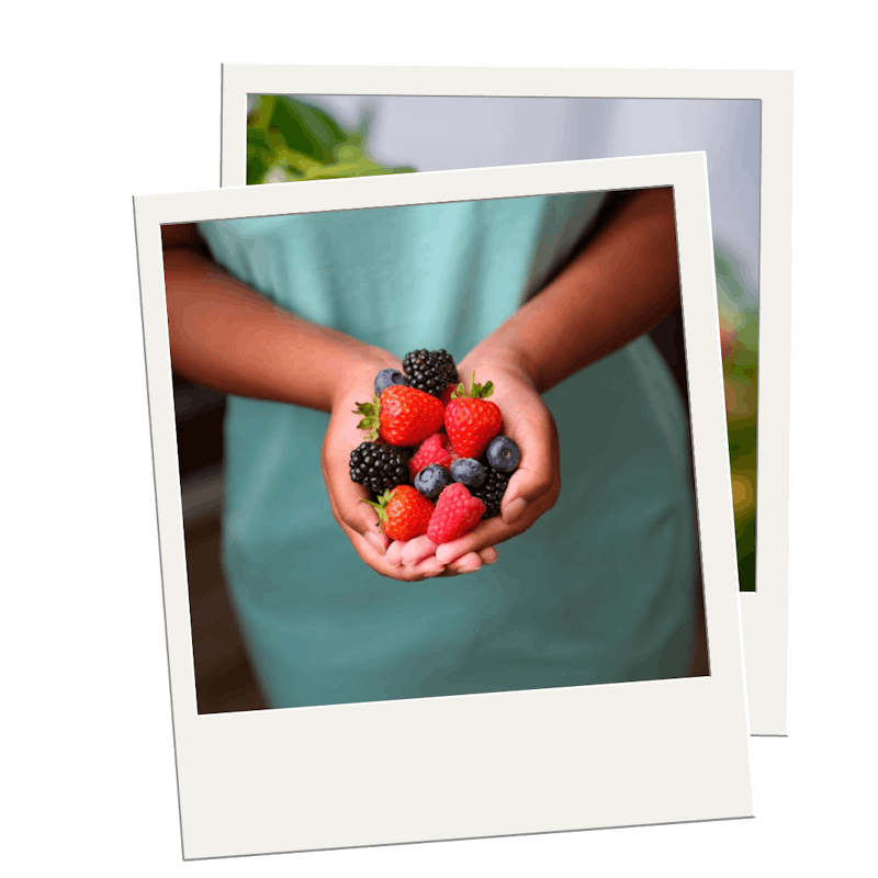 Berry World Plus Berry Breeding 13