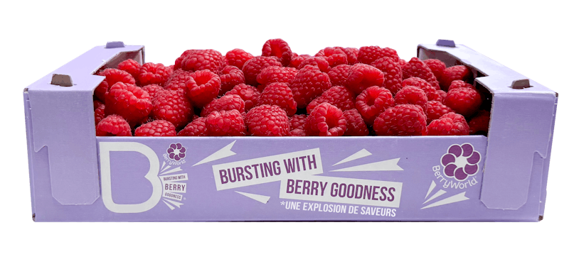 Cardboard Box Raspberries