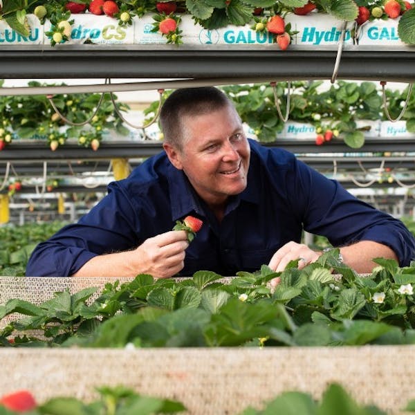 Gavin Scurr Crop